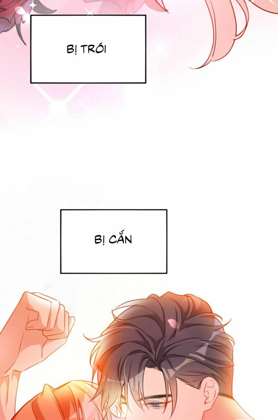 Hôm Nay Từ Chối Lục Tiên Sinh Chưa?: Chapter 1