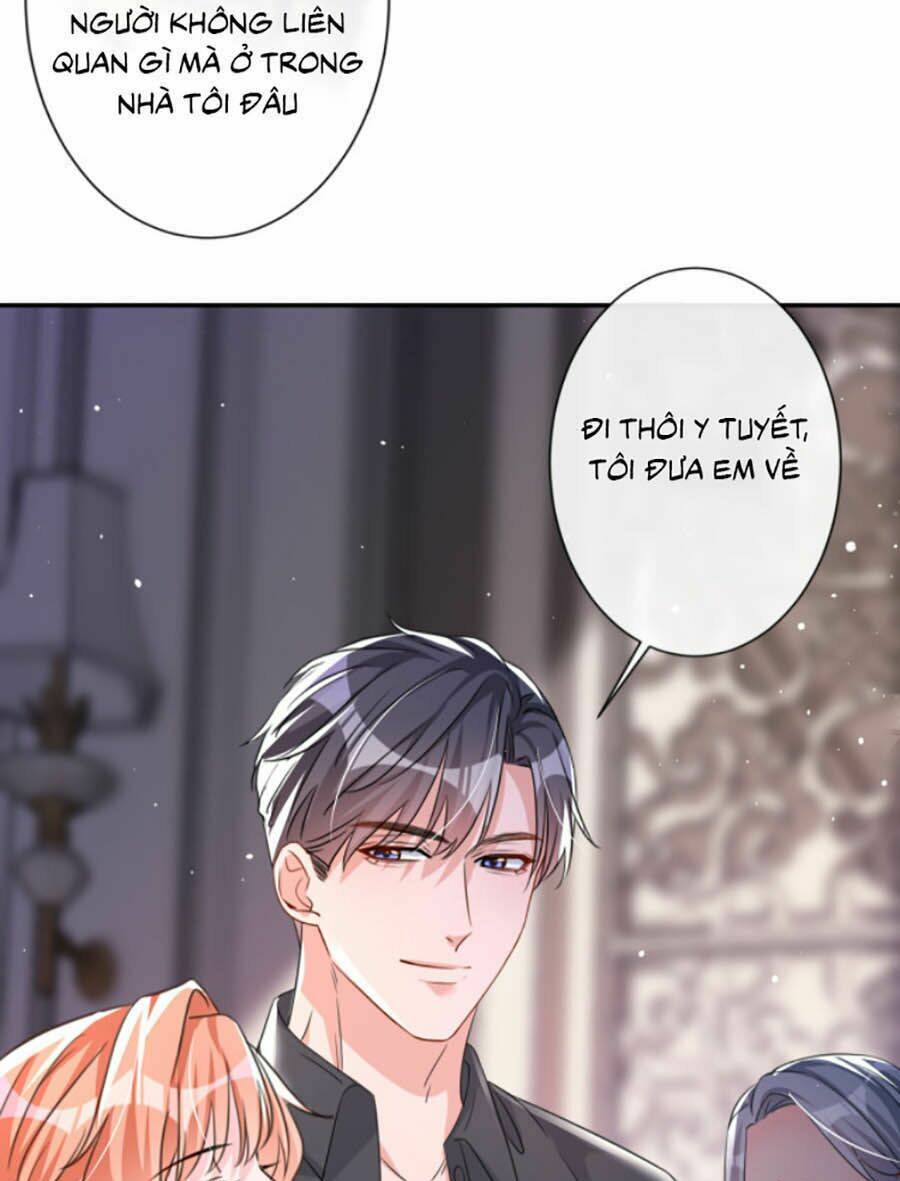 Hôm Nay Từ Chối Lục Tiên Sinh Chưa?: Chapter 11