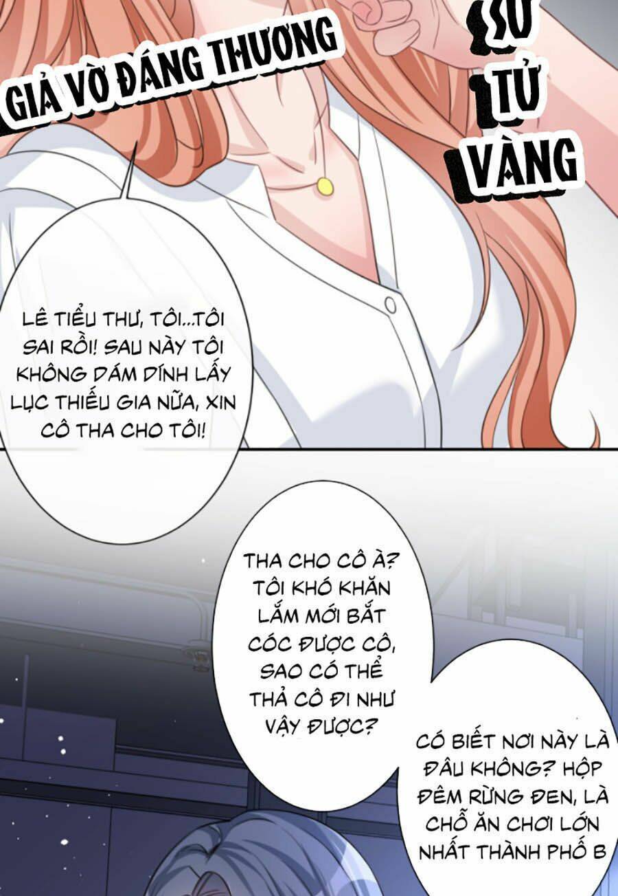 Hôm Nay Từ Chối Lục Tiên Sinh Chưa?: Chapter 11