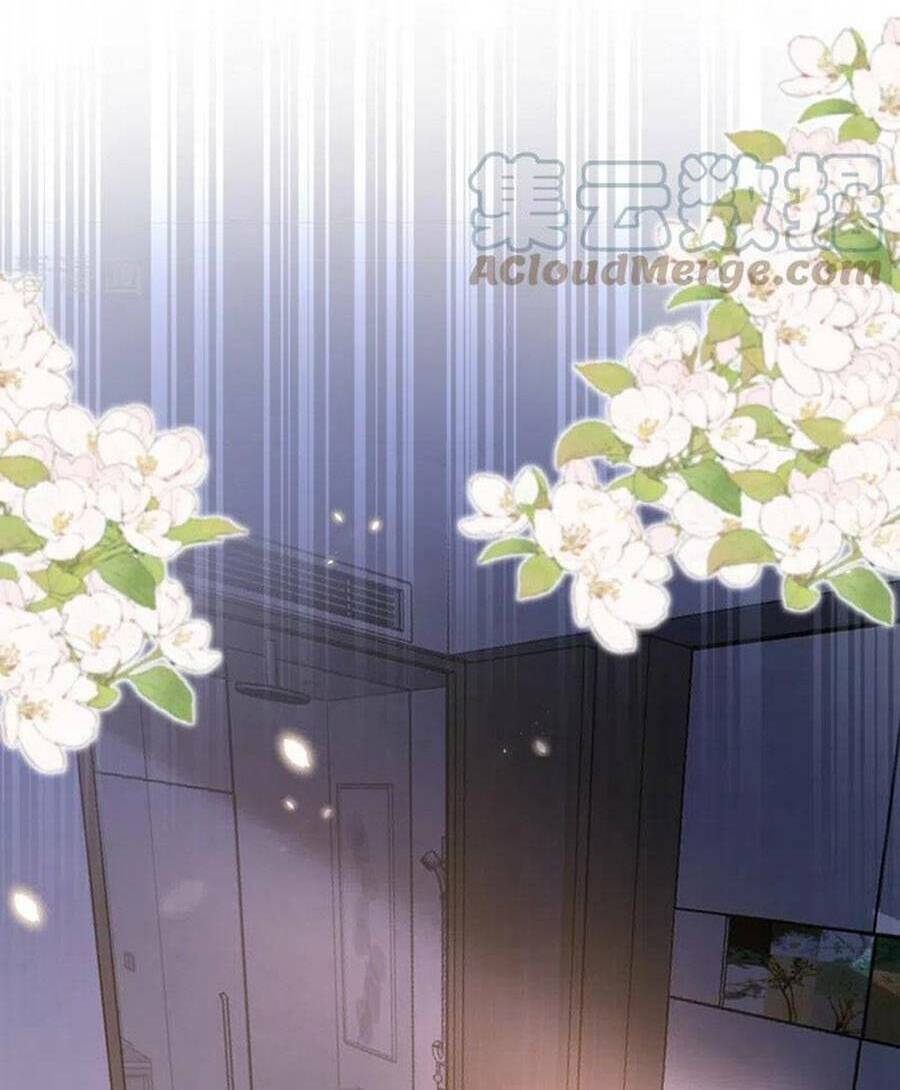Hôm Nay Từ Chối Lục Tiên Sinh Chưa?: Chapter 114