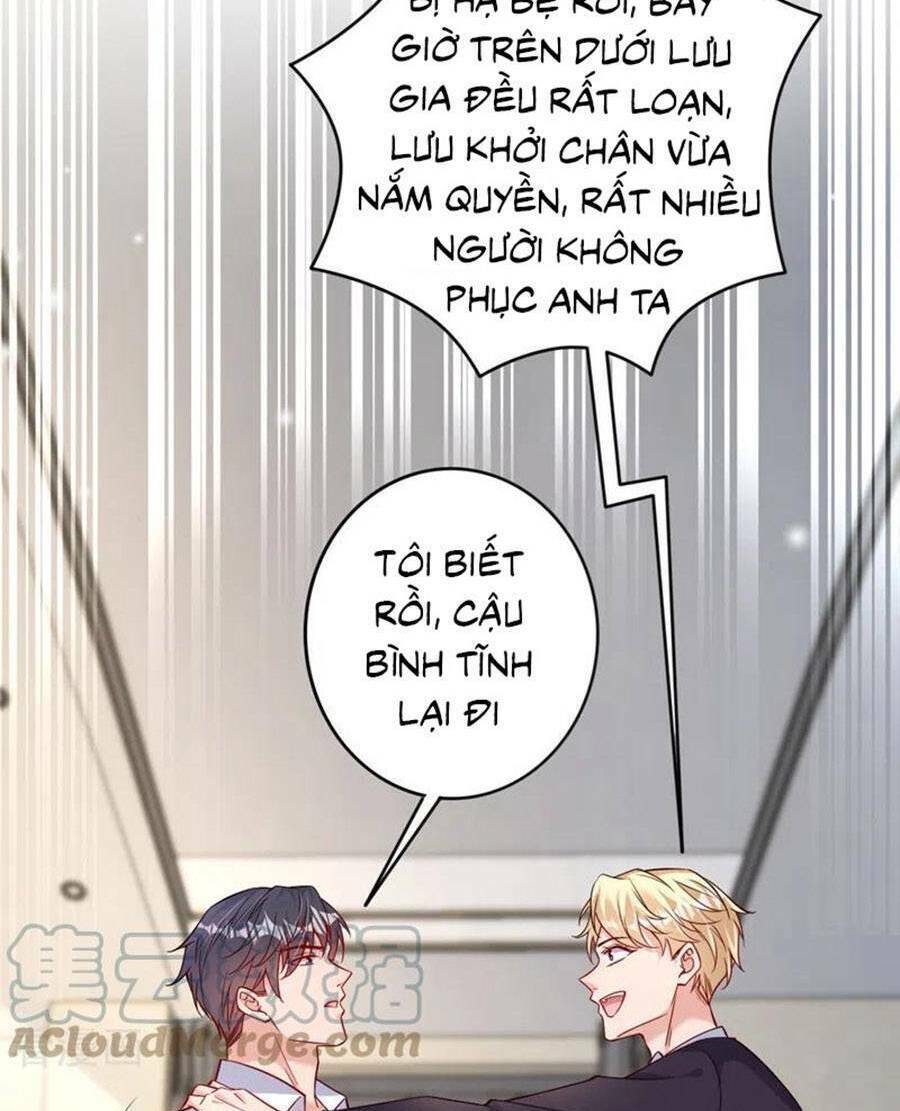 Hôm Nay Từ Chối Lục Tiên Sinh Chưa?: Chapter 117