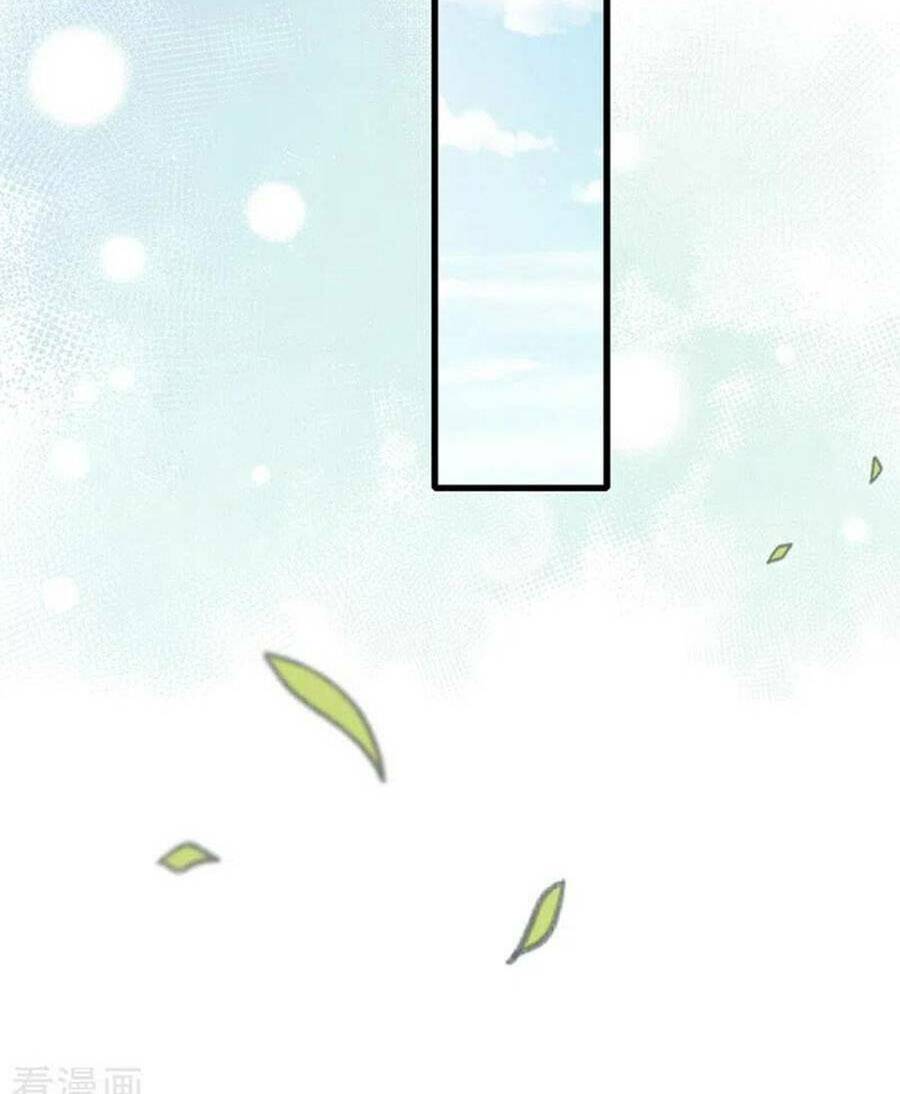 Hôm Nay Từ Chối Lục Tiên Sinh Chưa?: Chapter 117