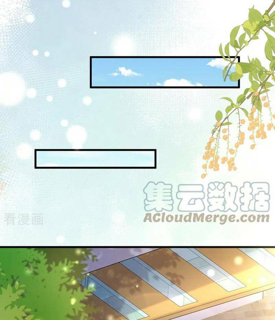 Hôm Nay Từ Chối Lục Tiên Sinh Chưa?: Chapter 118