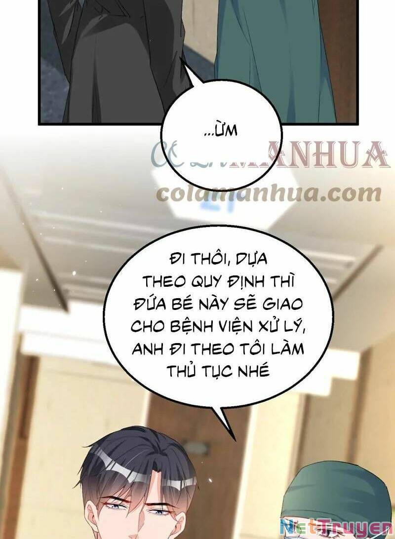 Hôm Nay Từ Chối Lục Tiên Sinh Chưa?: Chapter 145