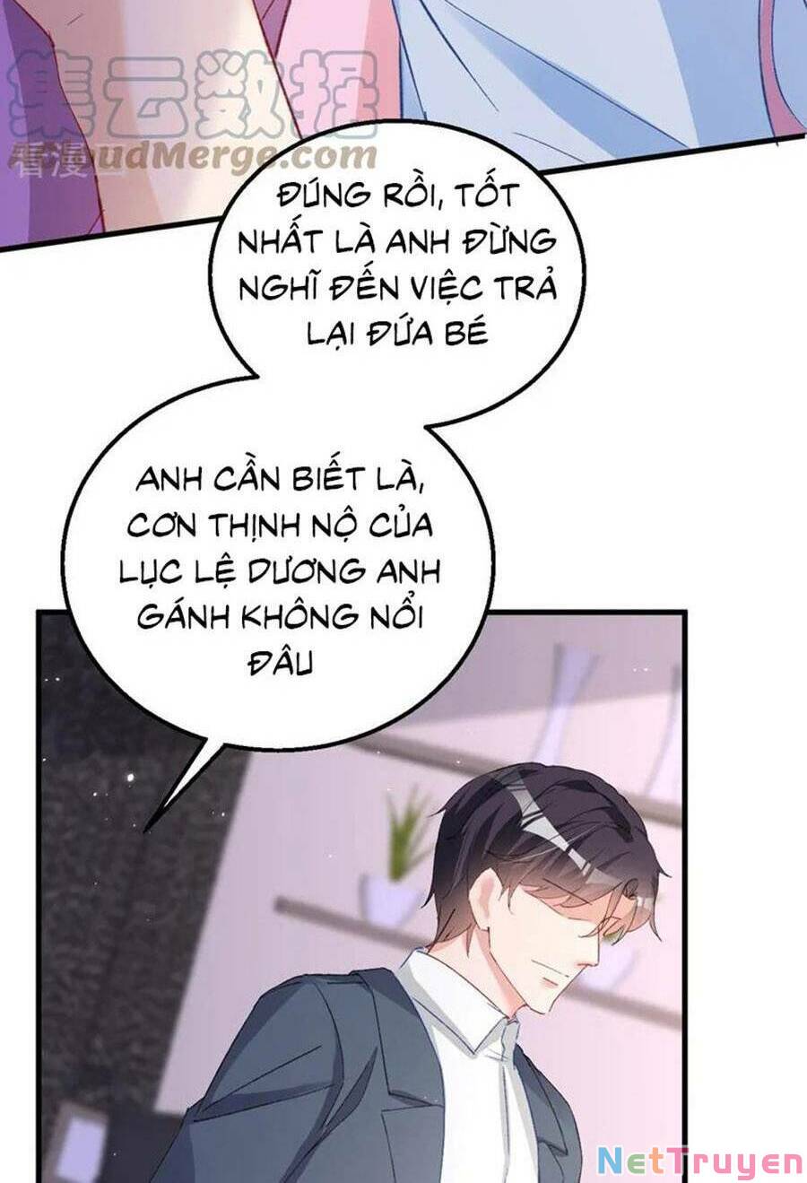 Hôm Nay Từ Chối Lục Tiên Sinh Chưa?: Chapter 147
