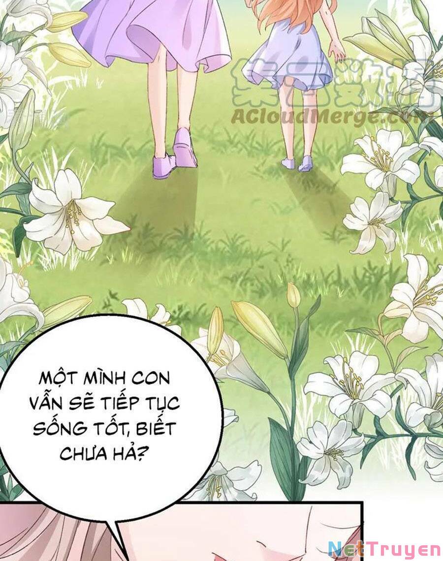 Hôm Nay Từ Chối Lục Tiên Sinh Chưa?: Chapter 147