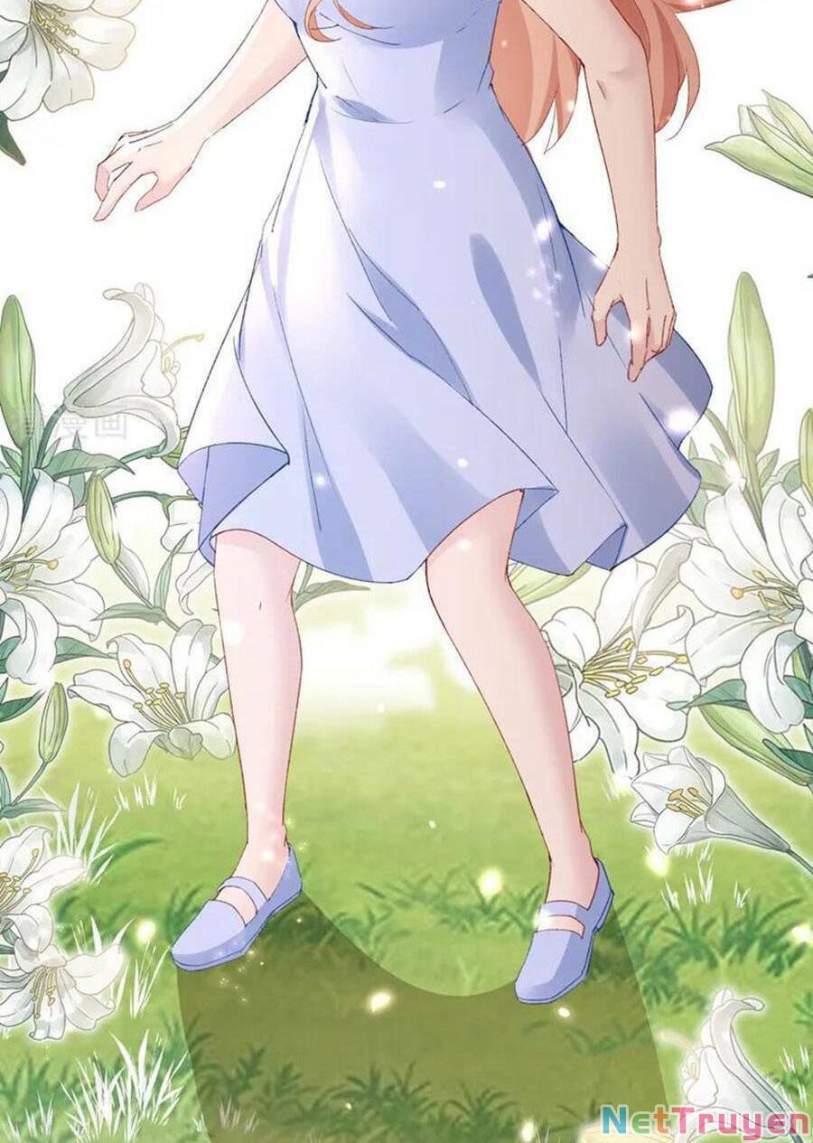 Hôm Nay Từ Chối Lục Tiên Sinh Chưa?: Chapter 147