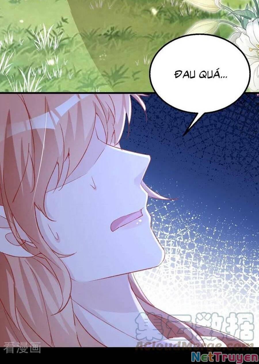 Hôm Nay Từ Chối Lục Tiên Sinh Chưa?: Chapter 147