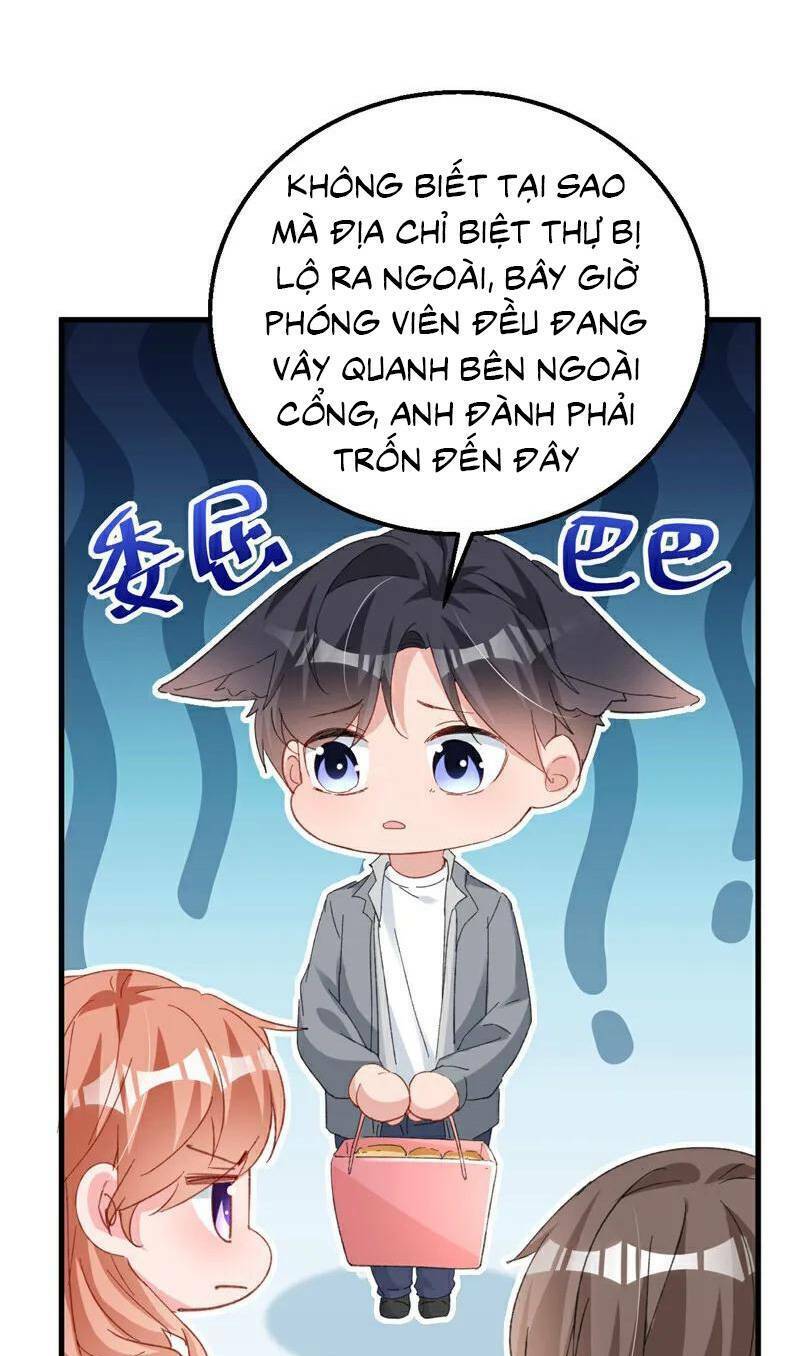 Hôm Nay Từ Chối Lục Tiên Sinh Chưa?: Chapter 162