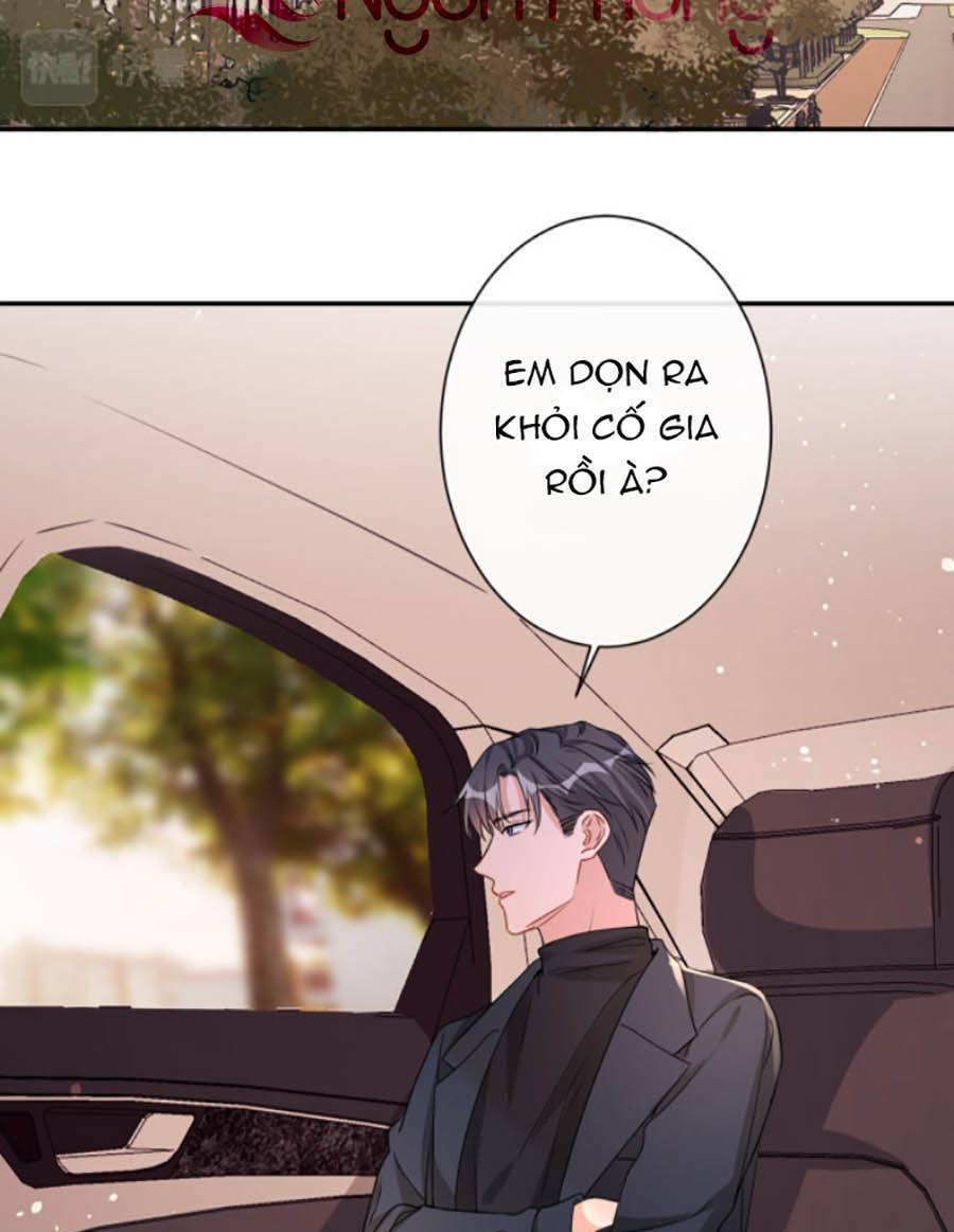 Hôm Nay Từ Chối Lục Tiên Sinh Chưa?: Chapter 18