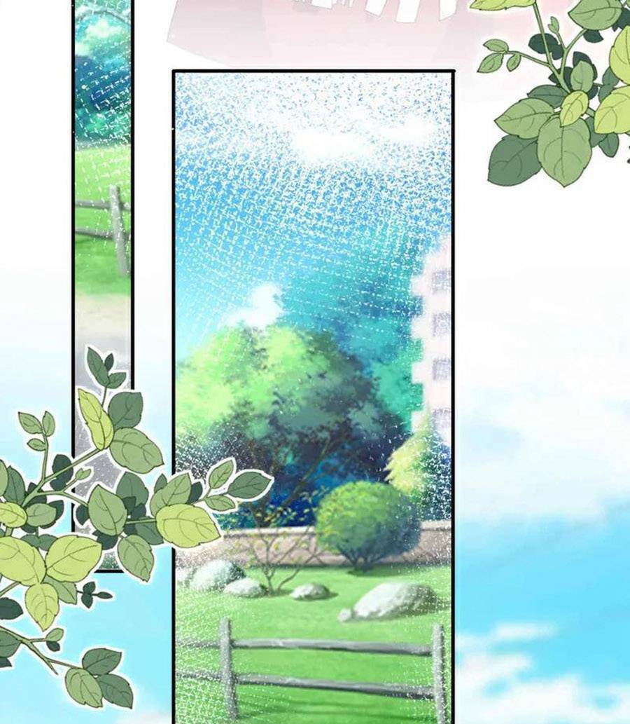 Hôm Nay Từ Chối Lục Tiên Sinh Chưa?: Chapter 183