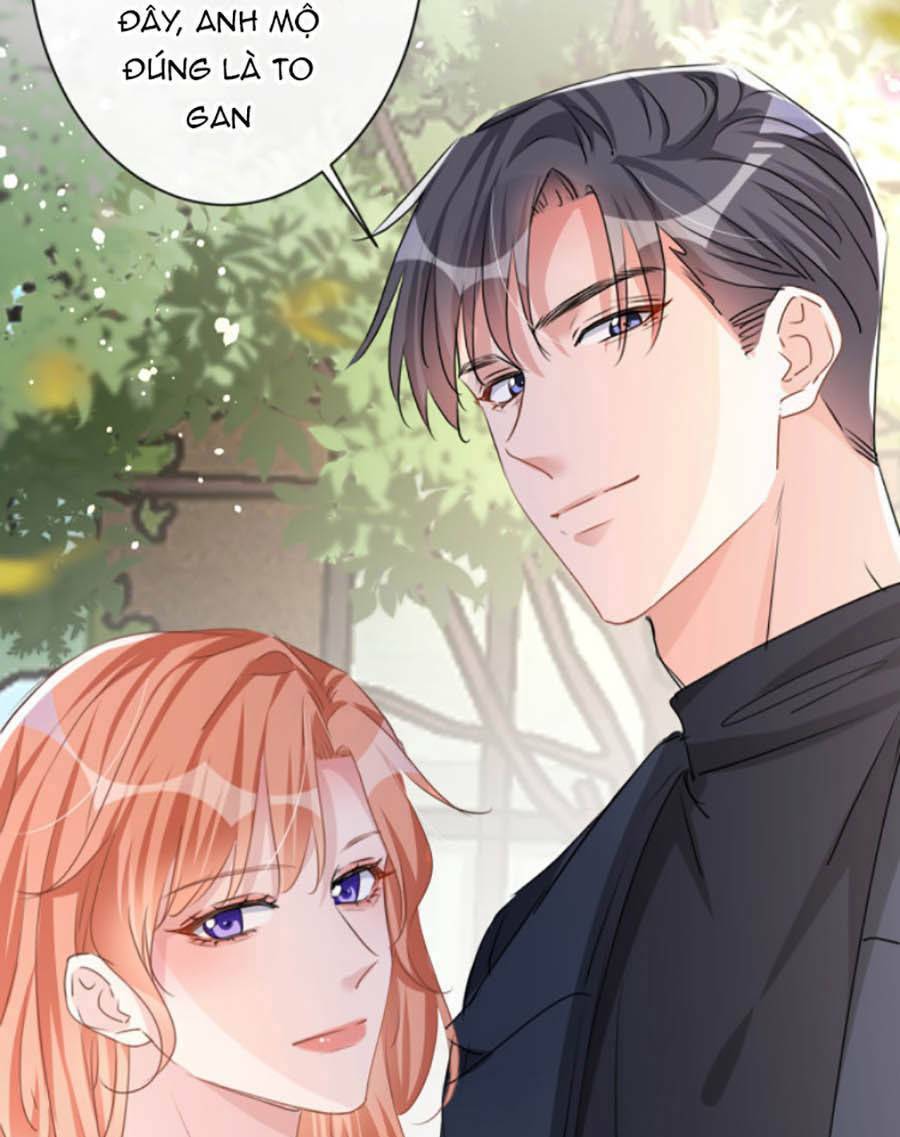Hôm Nay Từ Chối Lục Tiên Sinh Chưa?: Chapter 19