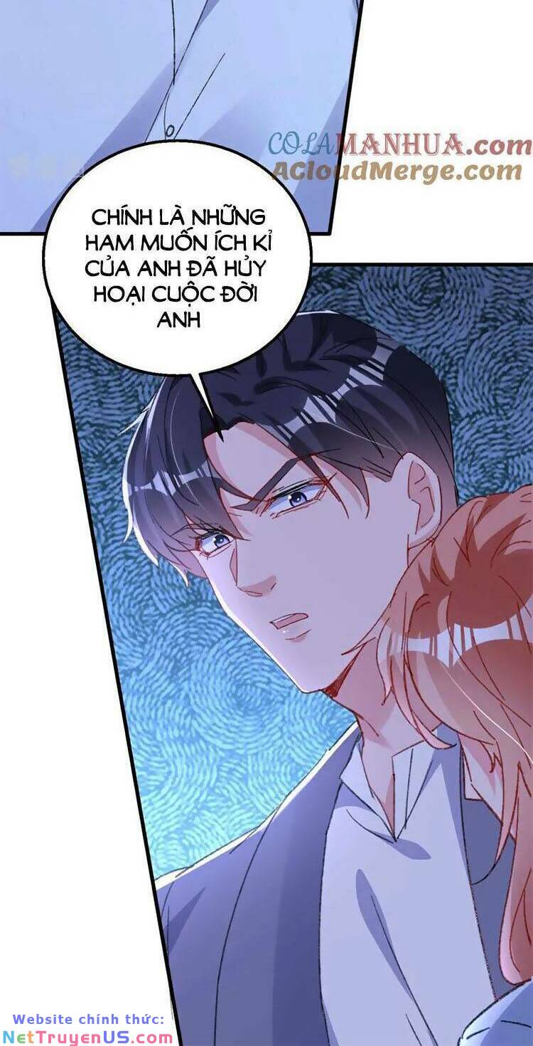 Hôm Nay Từ Chối Lục Tiên Sinh Chưa?: Chapter 195