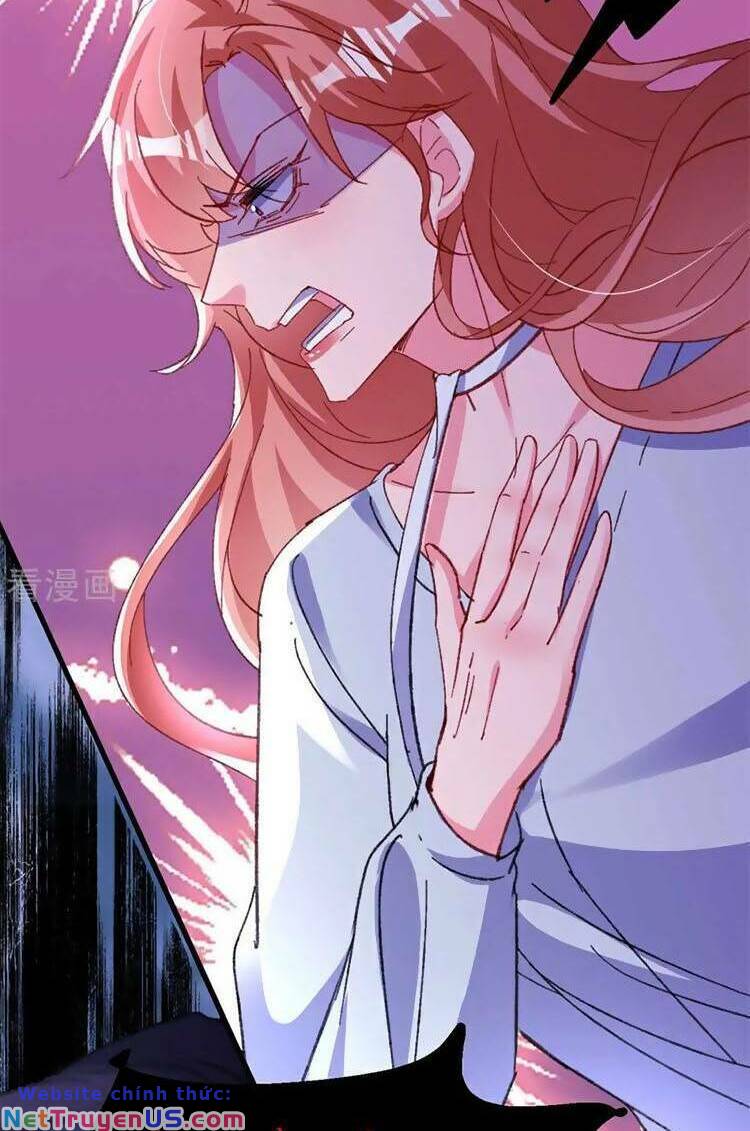Hôm Nay Từ Chối Lục Tiên Sinh Chưa?: Chapter 195