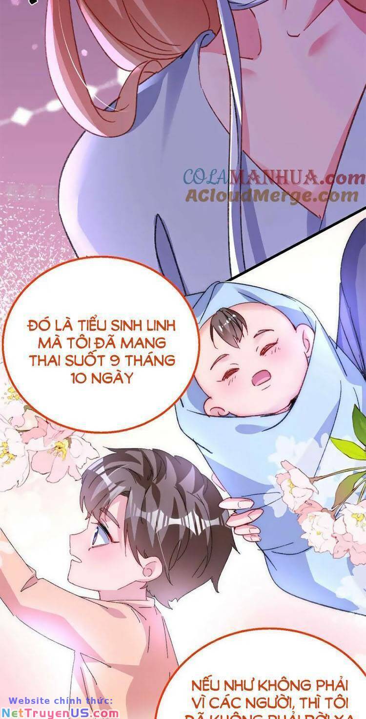 Hôm Nay Từ Chối Lục Tiên Sinh Chưa?: Chapter 195