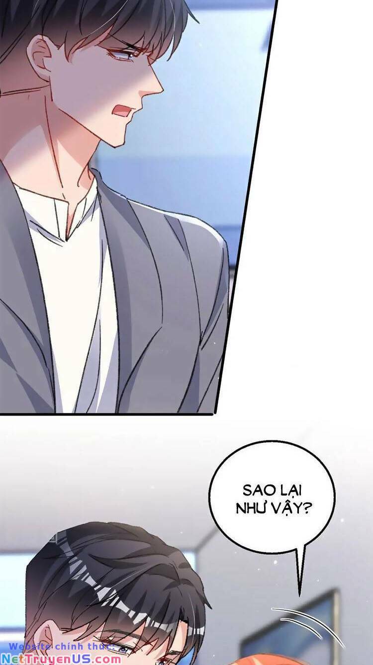 Hôm Nay Từ Chối Lục Tiên Sinh Chưa?: Chapter 195