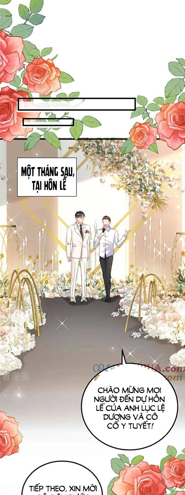 Hôm Nay Từ Chối Lục Tiên Sinh Chưa?: Chapter 205