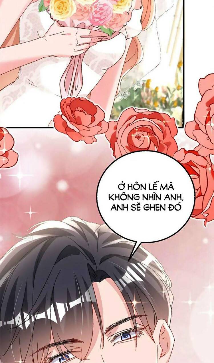 Hôm Nay Từ Chối Lục Tiên Sinh Chưa?: Chapter 205