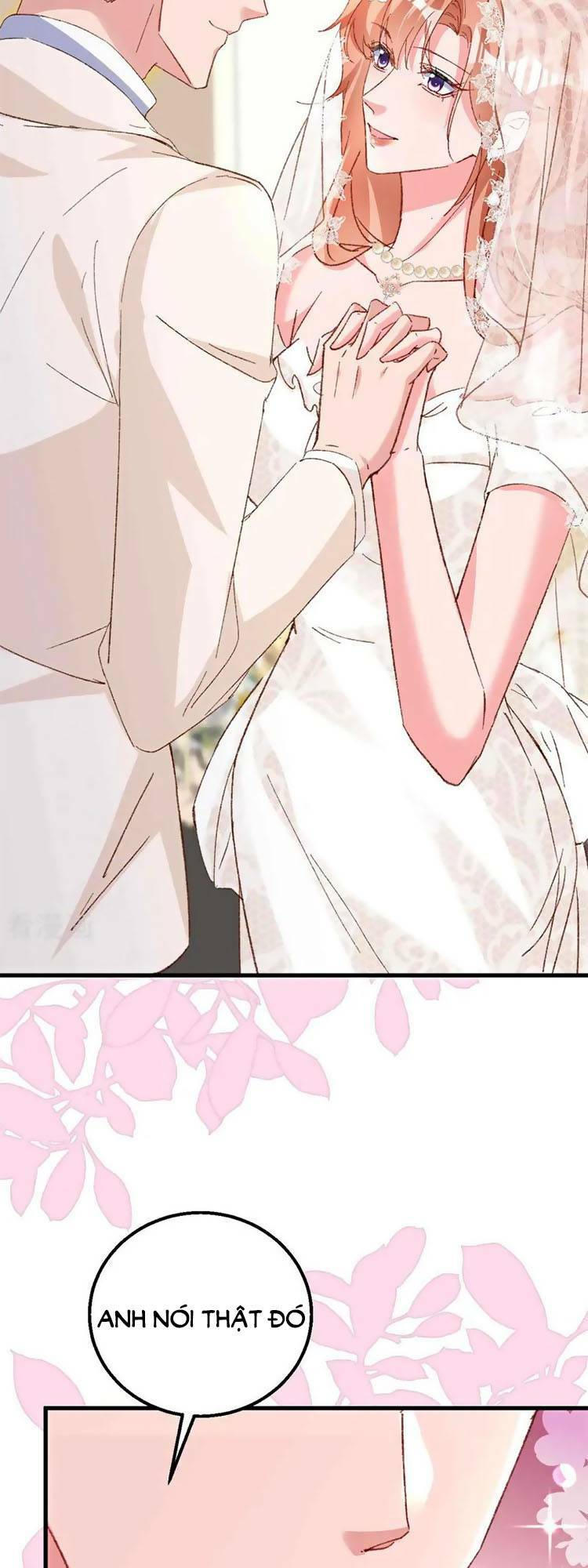 Hôm Nay Từ Chối Lục Tiên Sinh Chưa?: Chapter 205