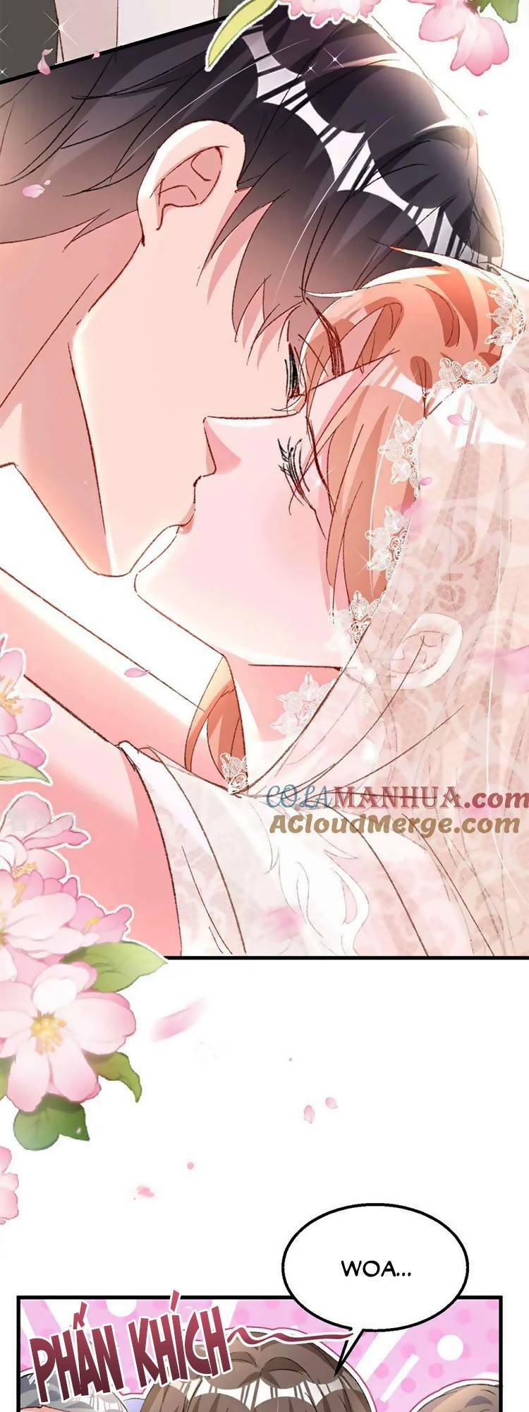 Hôm Nay Từ Chối Lục Tiên Sinh Chưa?: Chapter 205