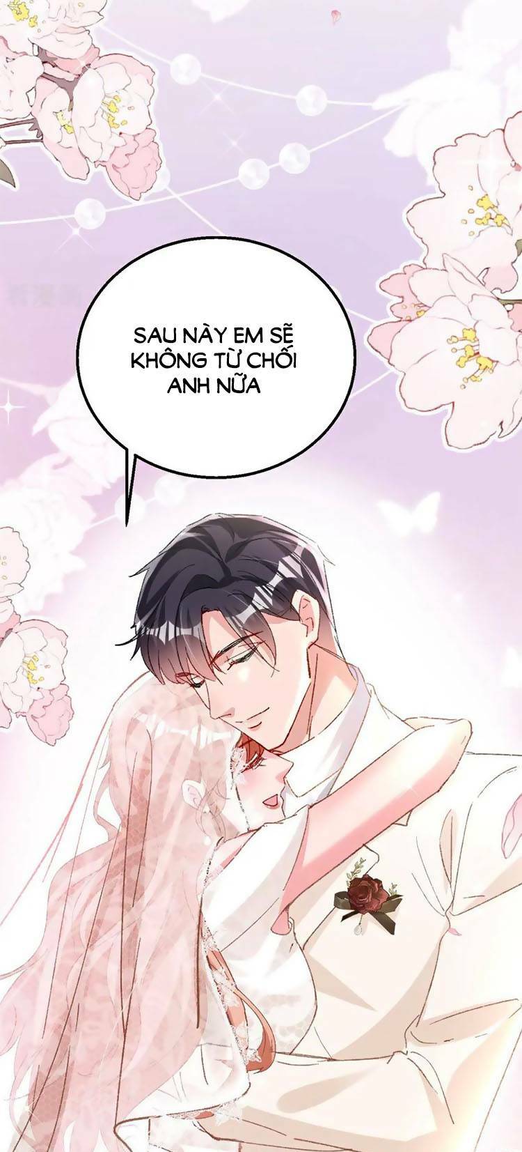 Hôm Nay Từ Chối Lục Tiên Sinh Chưa?: Chapter 205