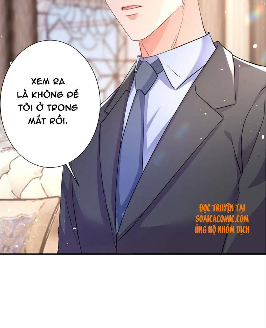 Hôm Nay Từ Chối Lục Tiên Sinh Chưa?: Chapter 25