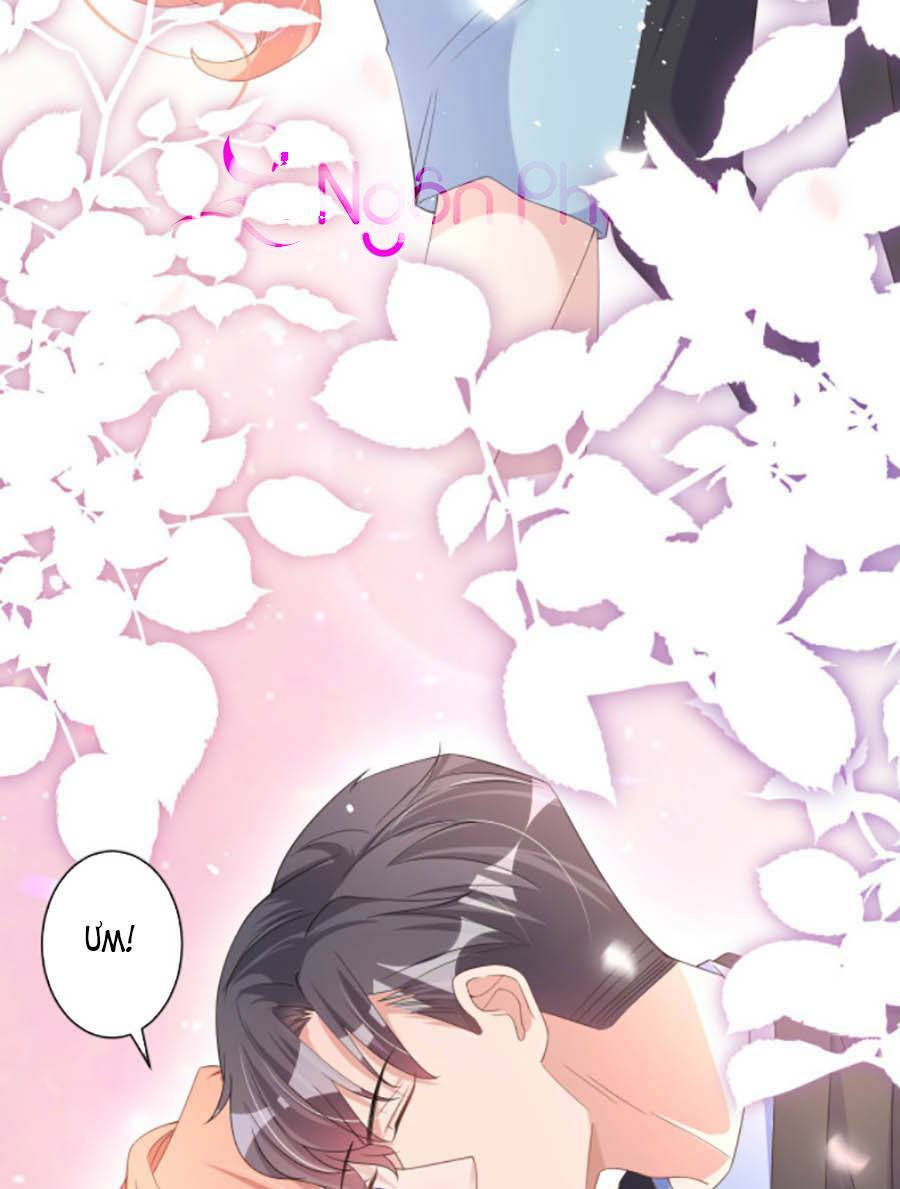 Hôm Nay Từ Chối Lục Tiên Sinh Chưa?: Chapter 29