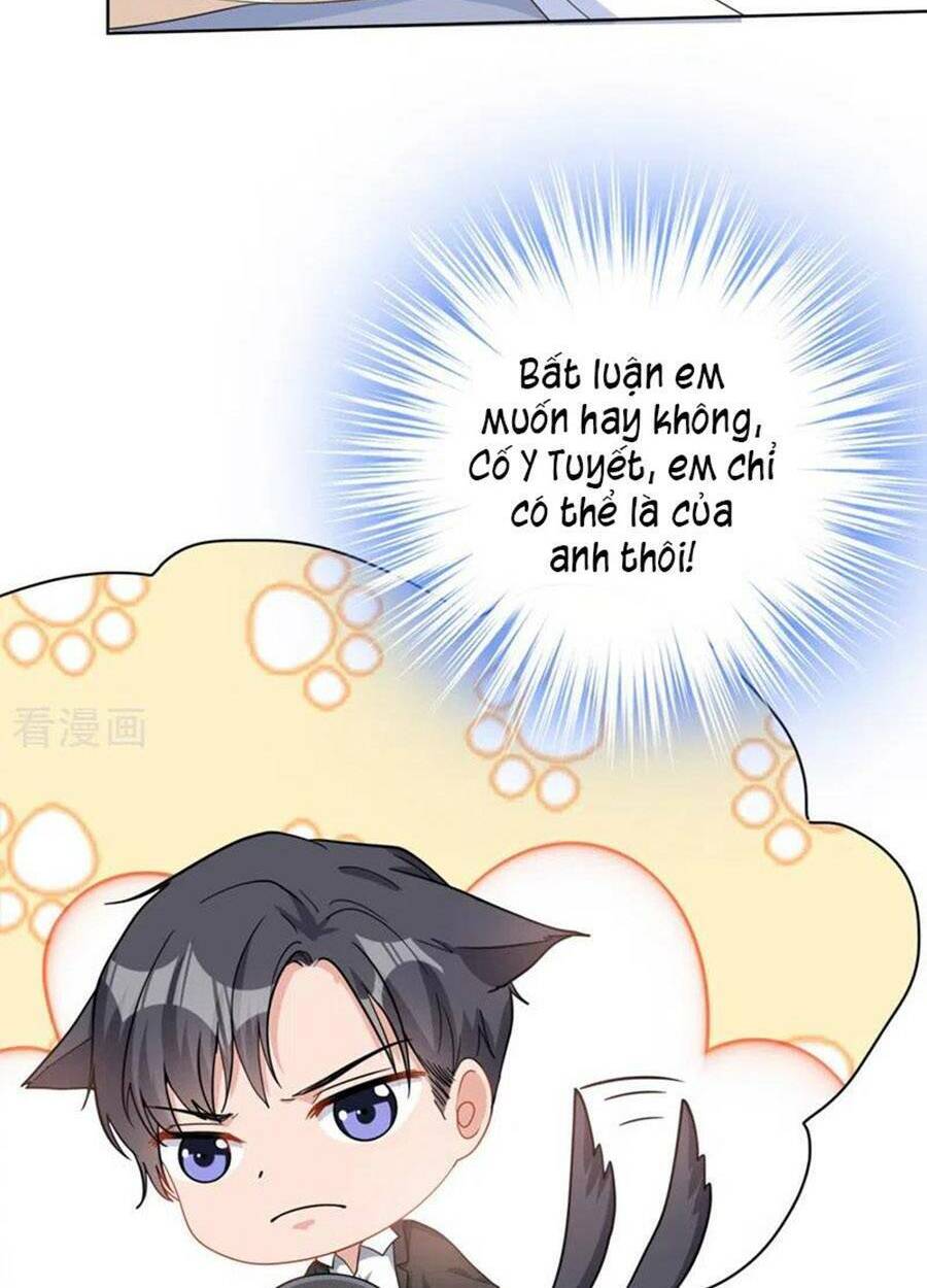 Hôm Nay Từ Chối Lục Tiên Sinh Chưa?: Chapter 51