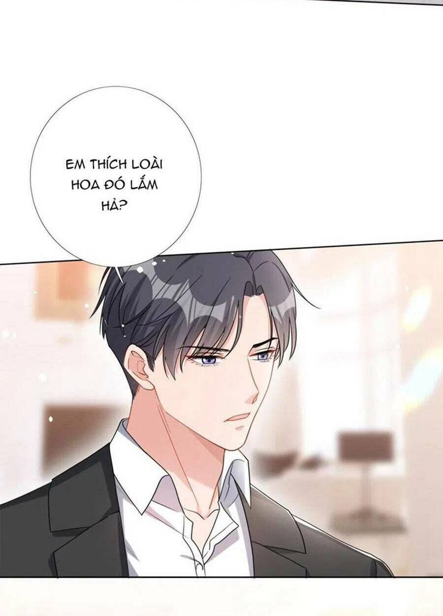 Hôm Nay Từ Chối Lục Tiên Sinh Chưa?: Chapter 51