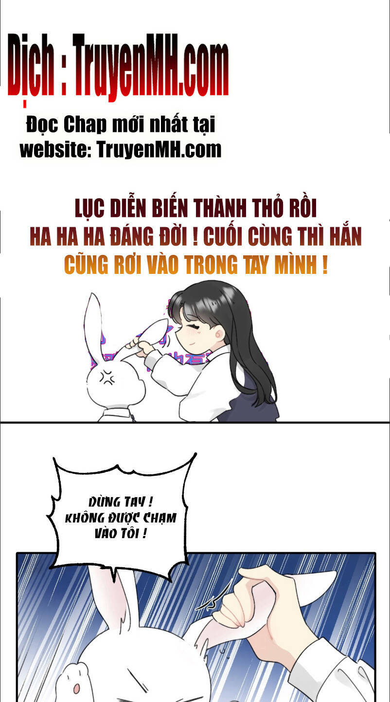 Không Nên Tùy Tiện Đối Nghịch Với Thủ Trưởng: Chapter 3