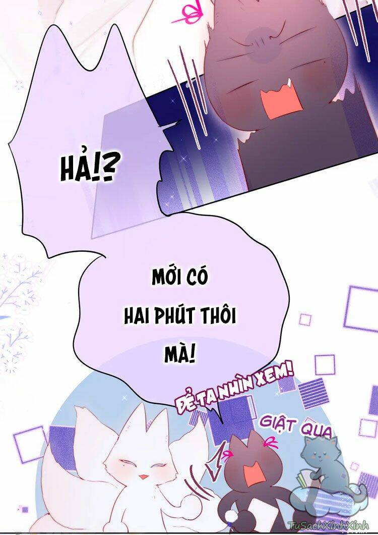 Cạm Bẫy Của Hồ Ly: Chapter 12