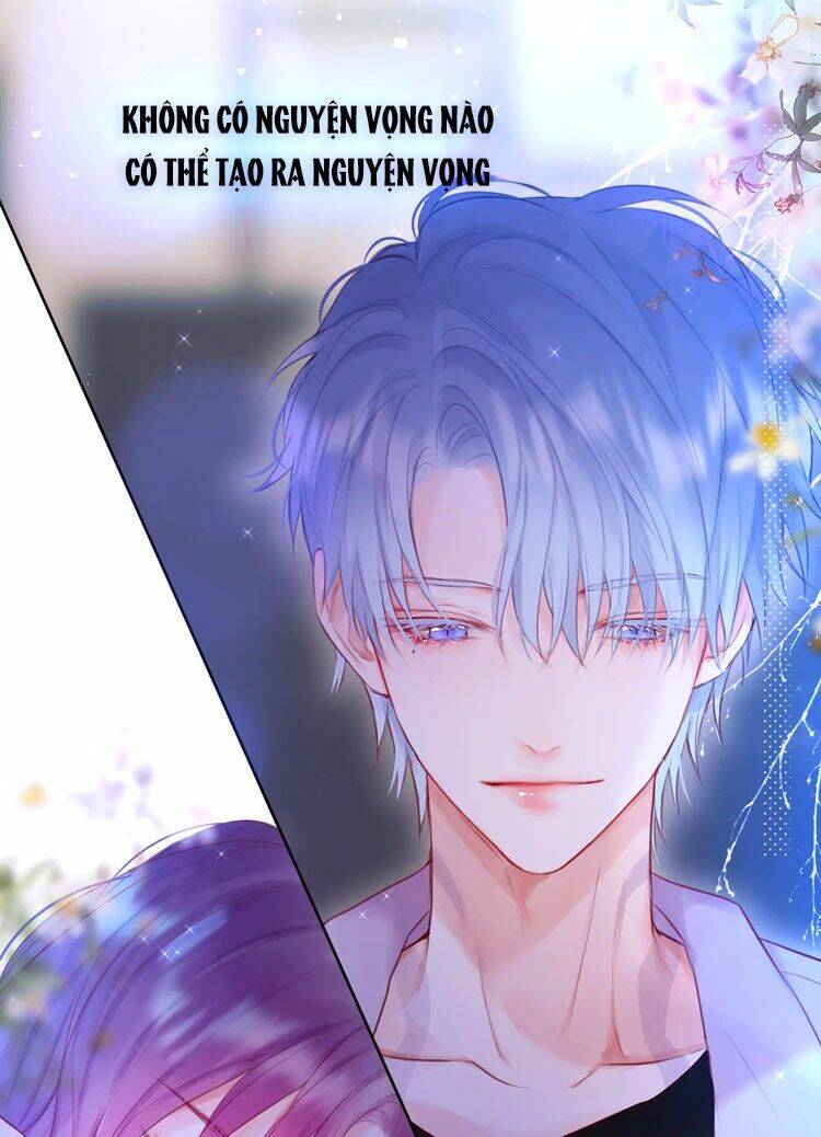 Cạm Bẫy Của Hồ Ly: Chapter 12