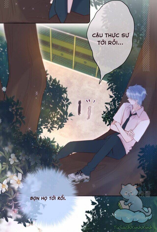 Cạm Bẫy Của Hồ Ly: Chapter 14
