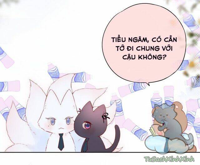Cạm Bẫy Của Hồ Ly: Chapter 14