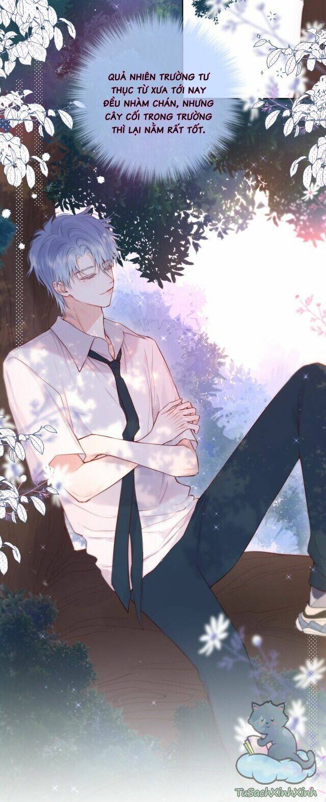 Cạm Bẫy Của Hồ Ly: Chapter 14