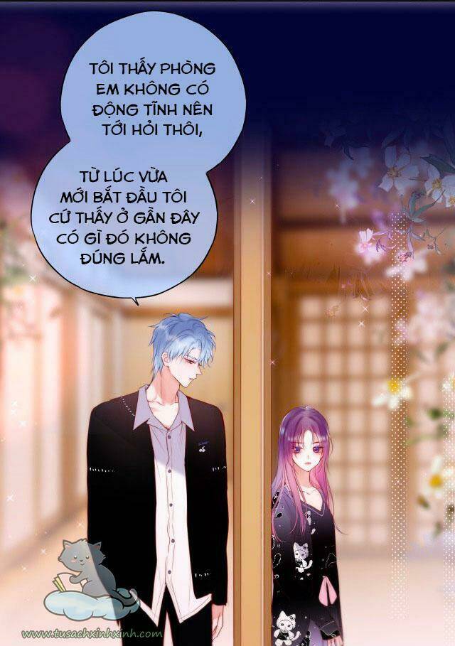 Cạm Bẫy Của Hồ Ly: Chapter 24