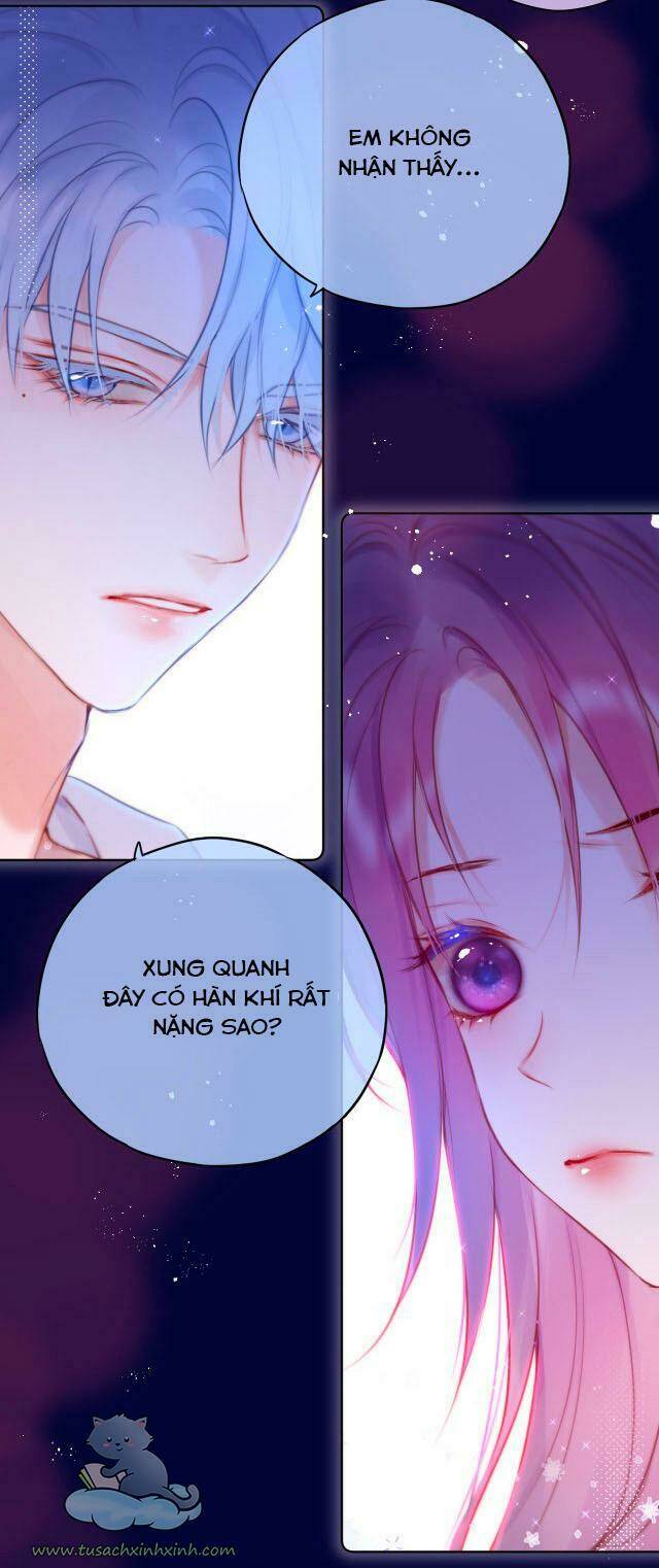 Cạm Bẫy Của Hồ Ly: Chapter 24
