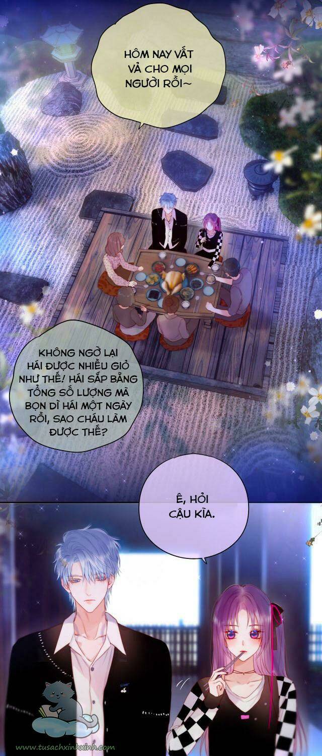Cạm Bẫy Của Hồ Ly: Chapter 24