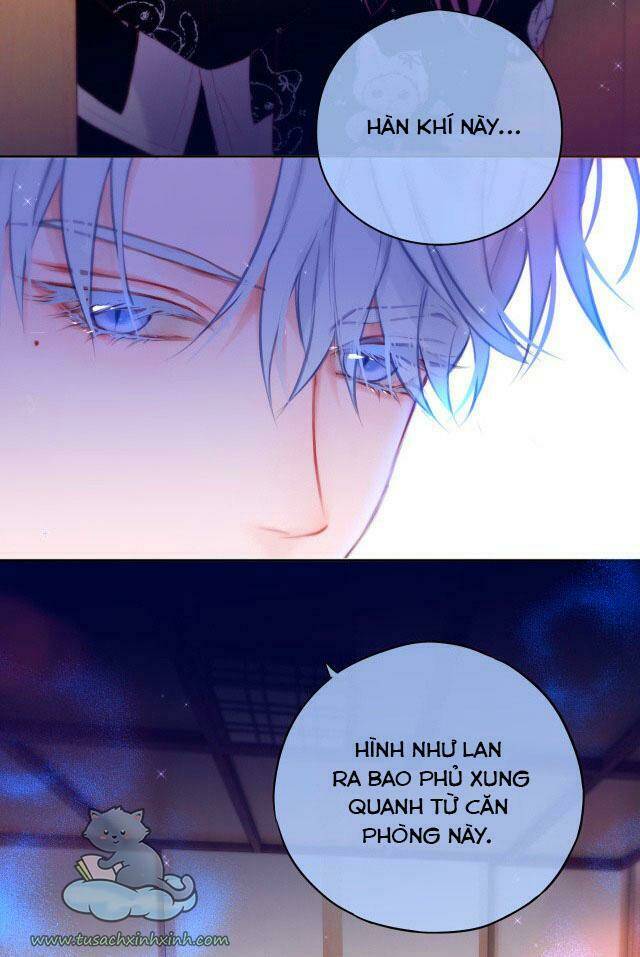 Cạm Bẫy Của Hồ Ly: Chapter 24