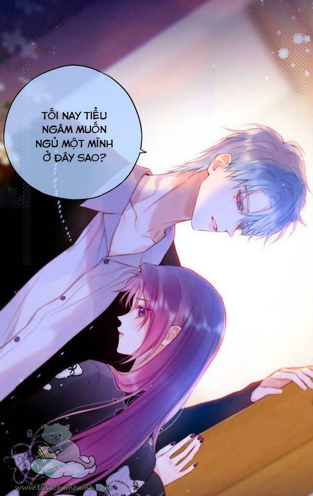Cạm Bẫy Của Hồ Ly: Chapter 24