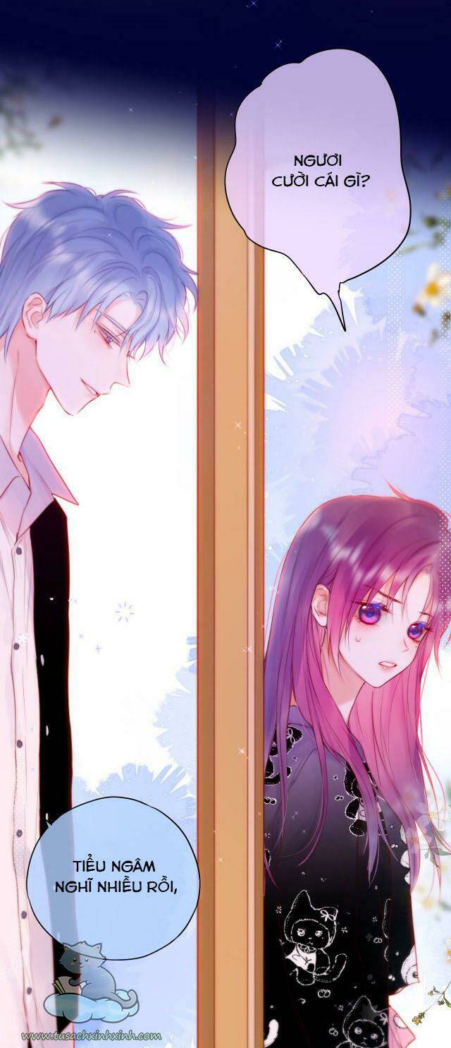 Cạm Bẫy Của Hồ Ly: Chapter 24