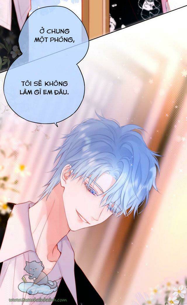 Cạm Bẫy Của Hồ Ly: Chapter 24