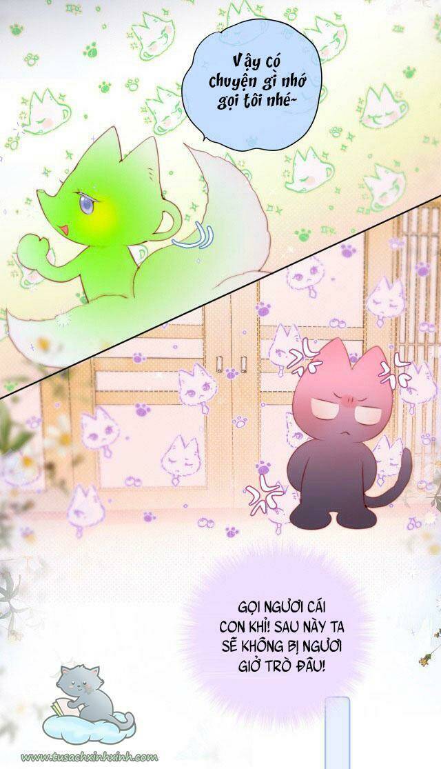 Cạm Bẫy Của Hồ Ly: Chapter 24