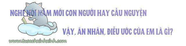 Cạm Bẫy Của Hồ Ly: Chapter 24