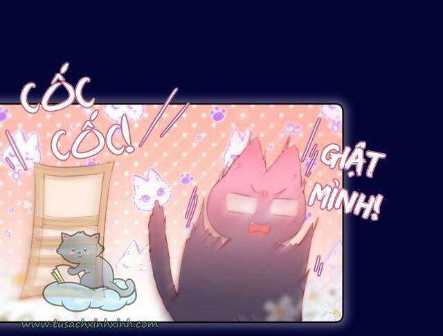 Cạm Bẫy Của Hồ Ly: Chapter 24