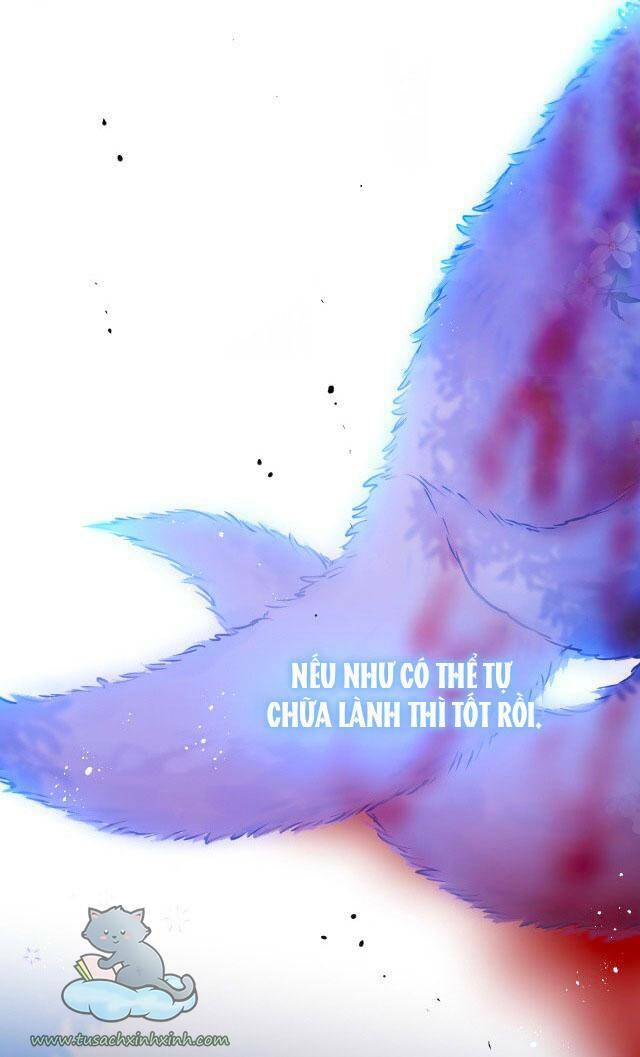 Cạm Bẫy Của Hồ Ly: Chapter 28