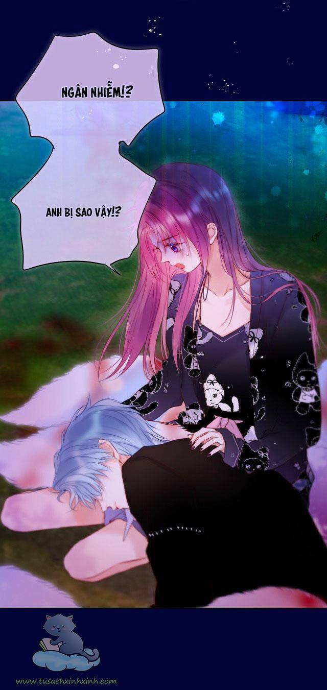 Cạm Bẫy Của Hồ Ly: Chapter 28