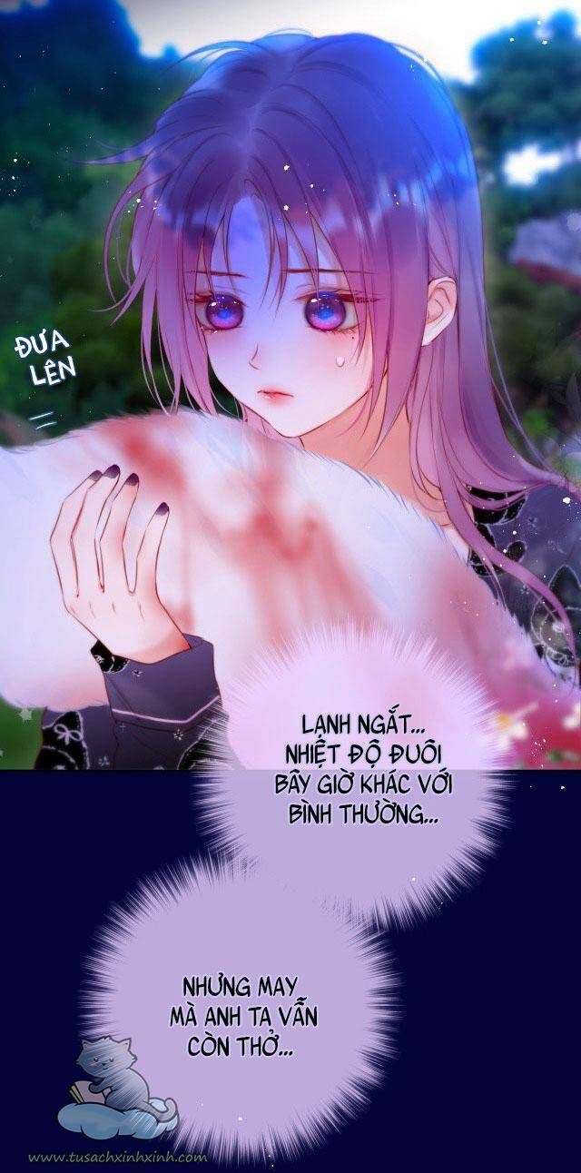 Cạm Bẫy Của Hồ Ly: Chapter 28