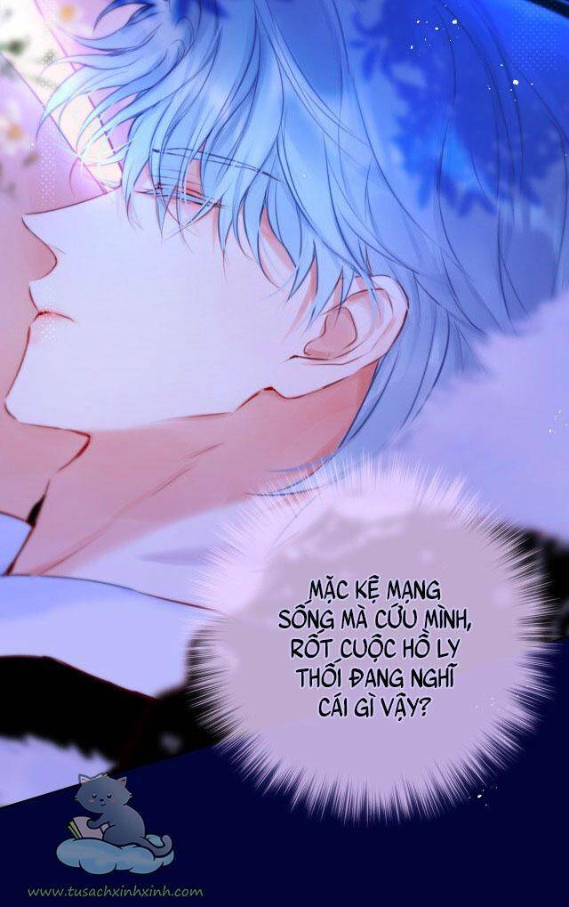 Cạm Bẫy Của Hồ Ly: Chapter 28