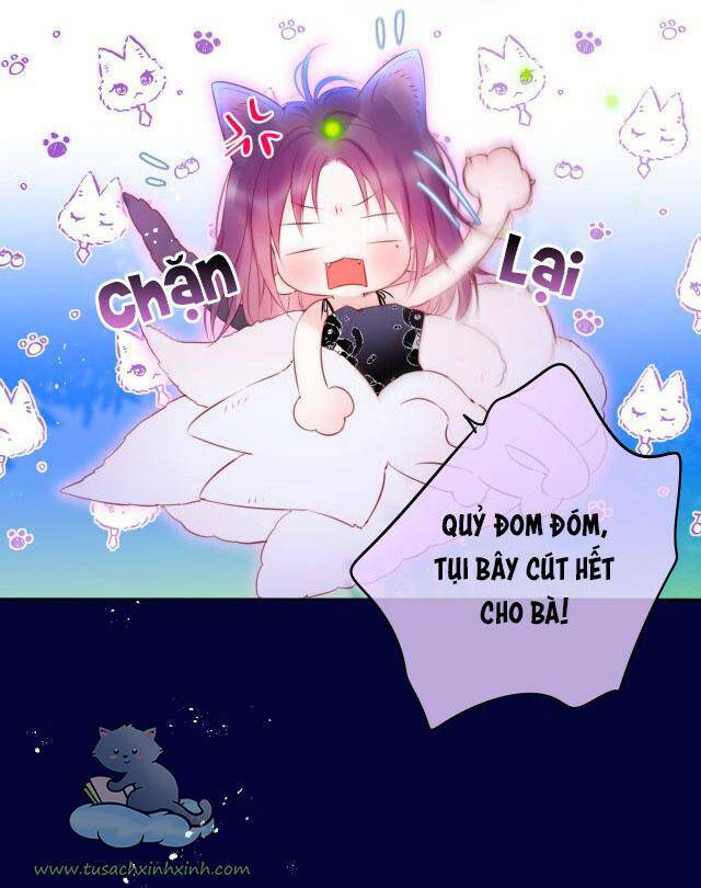 Cạm Bẫy Của Hồ Ly: Chapter 28
